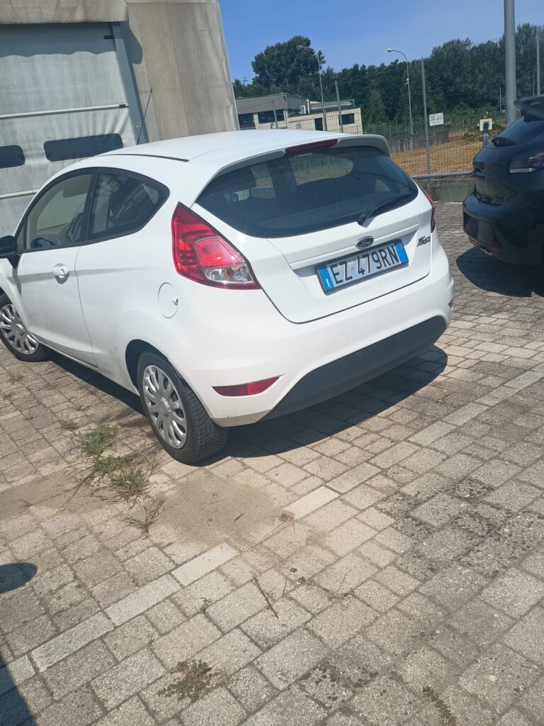Zdjęcie WhatsApp 2025-08-06 o 12.30