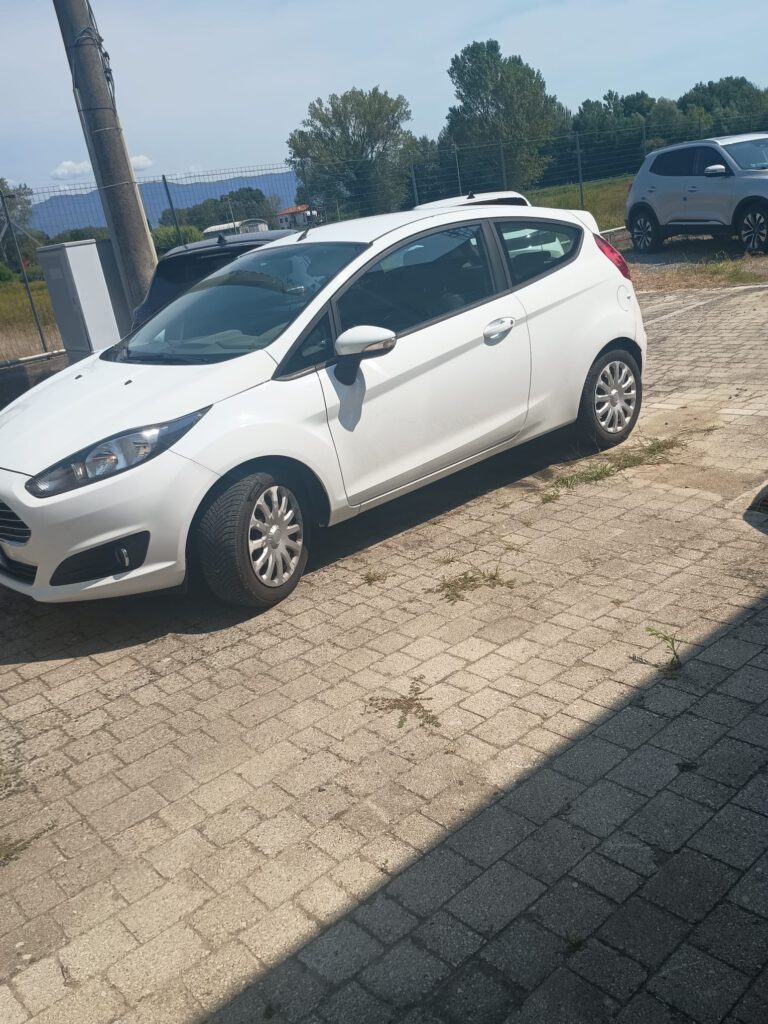 Zdjęcie WhatsApp 2025-08-06 o 12.30