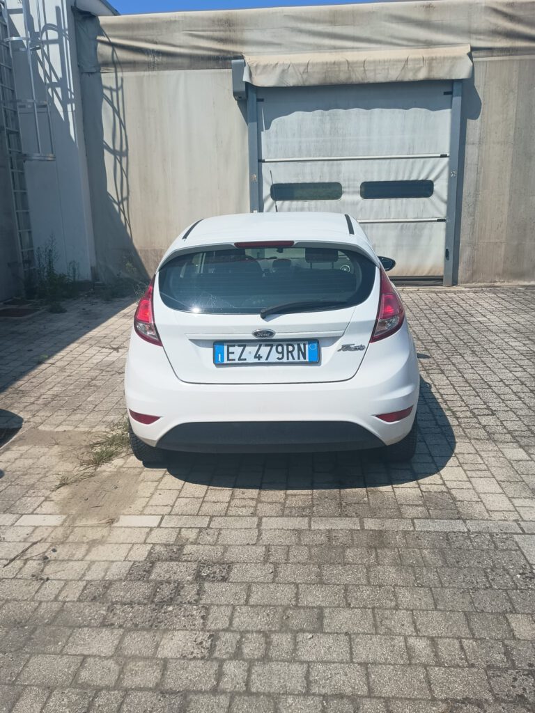 Zdjęcie WhatsApp 2025-08-06 o 12.30