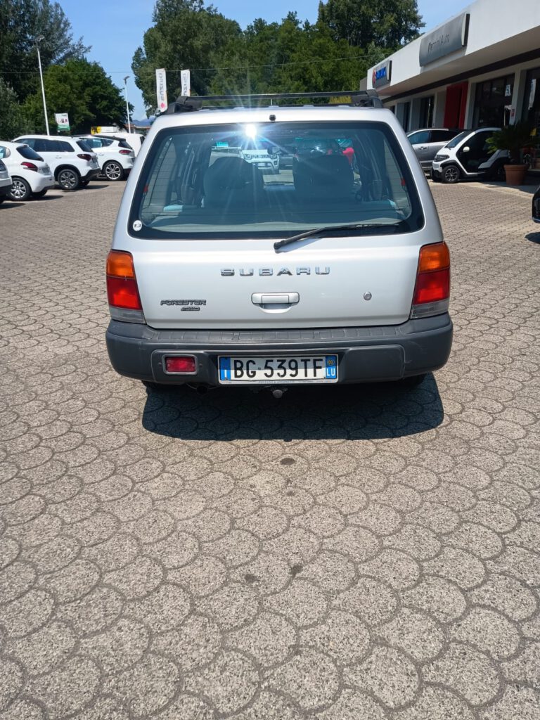 Zdjęcie WhatsApp 2025-08-07 o 12.53