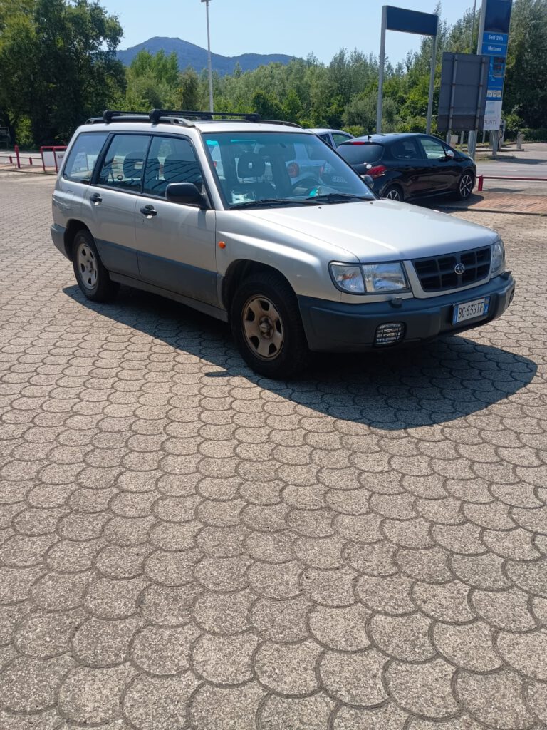Zdjęcie WhatsApp 2025-08-07 o 12.53