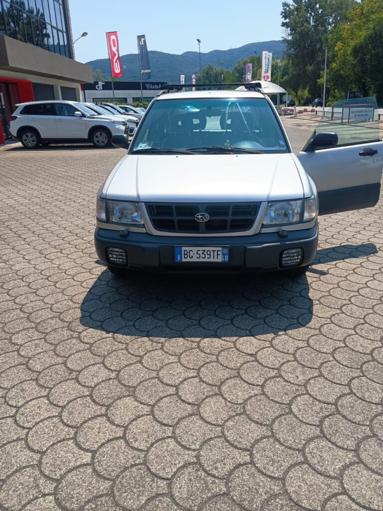 Zdjęcie WhatsApp 2025-08-07 o 12.53