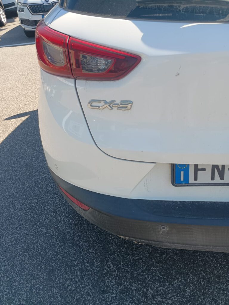Zdjęcie WhatsApp 2025-08-08 o 16.31