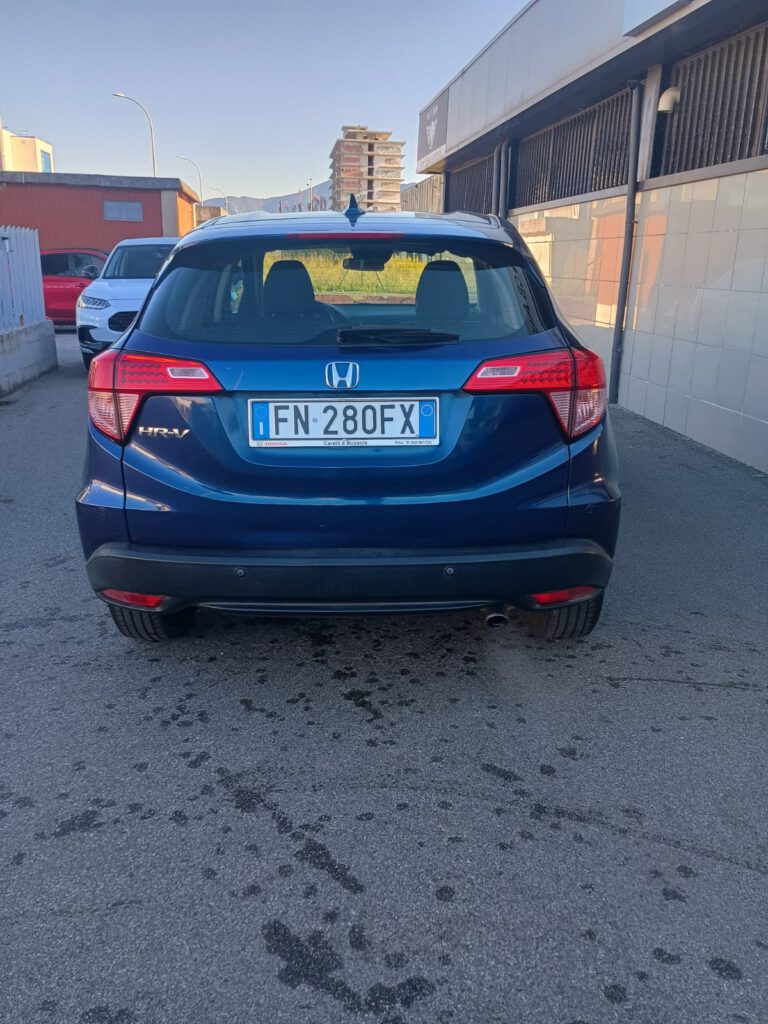 Zdjęcie WhatsApp 2025-10-16 o 11.01