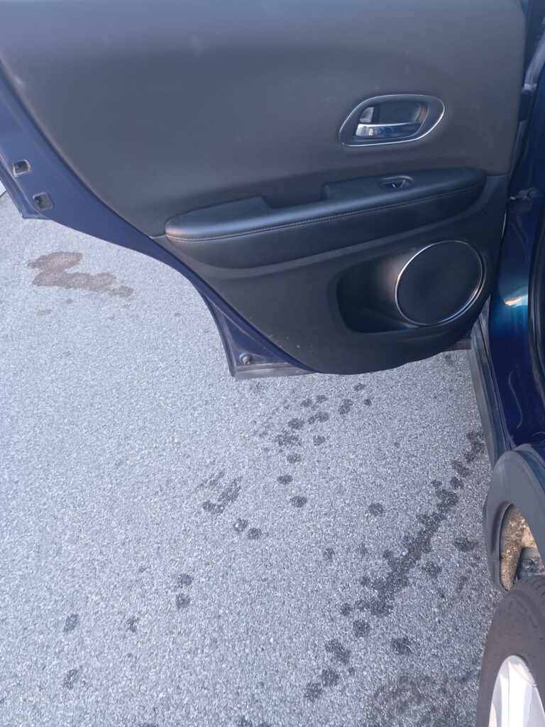 Zdjęcie WhatsApp 2025-10-16 o 11.01