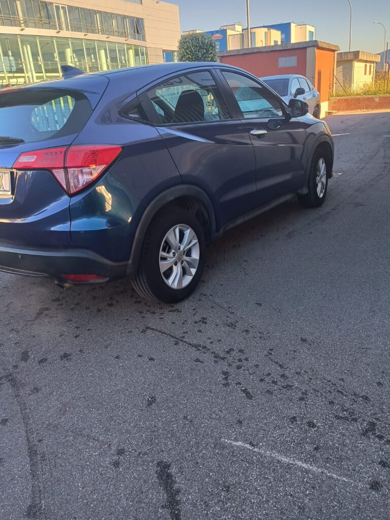 Zdjęcie WhatsApp 2025-10-16 o 11.01