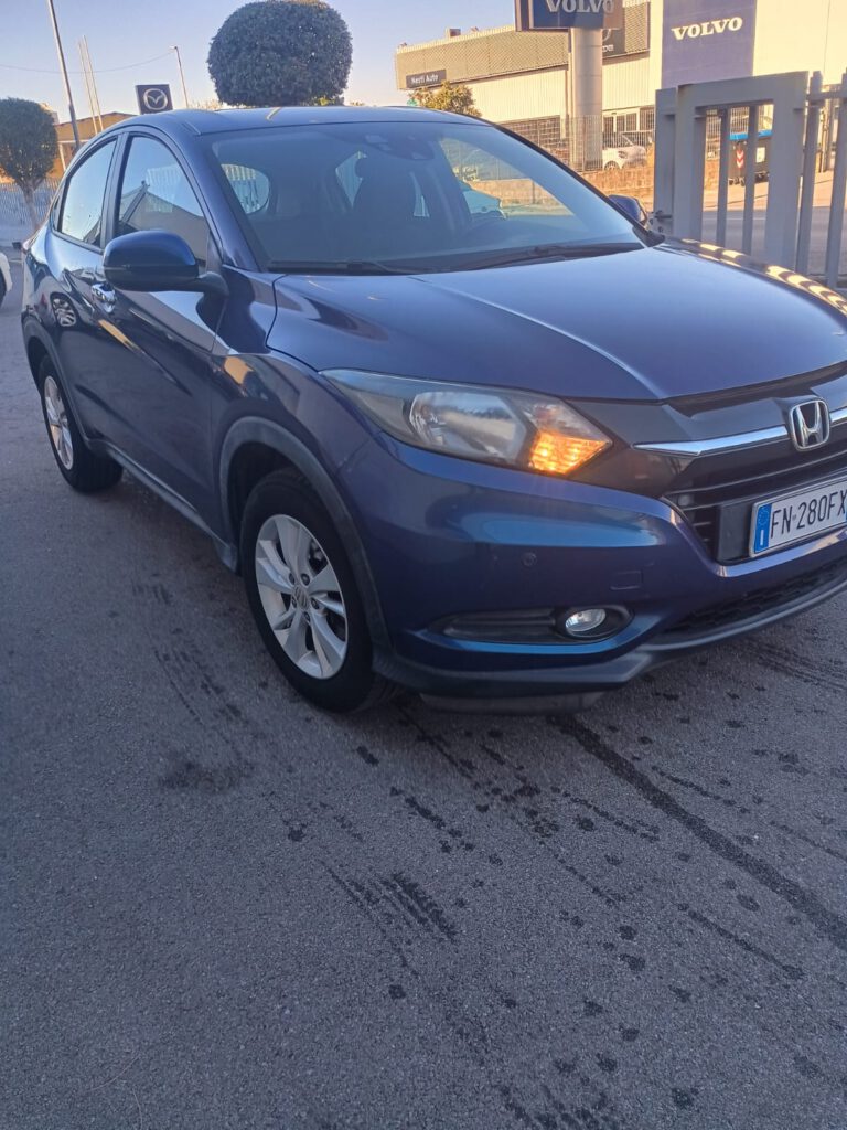 Zdjęcie WhatsApp 2025-10-16 o 11.01